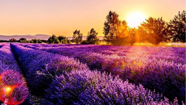 Workshop Frans voor gevorderden